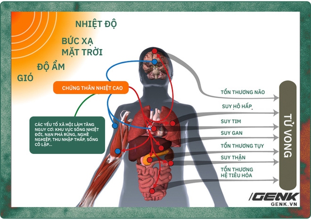 Thời tiết nóng như thể chúng ta đang ở trong một cái nồi hấp khổng lồ - Ảnh 14.