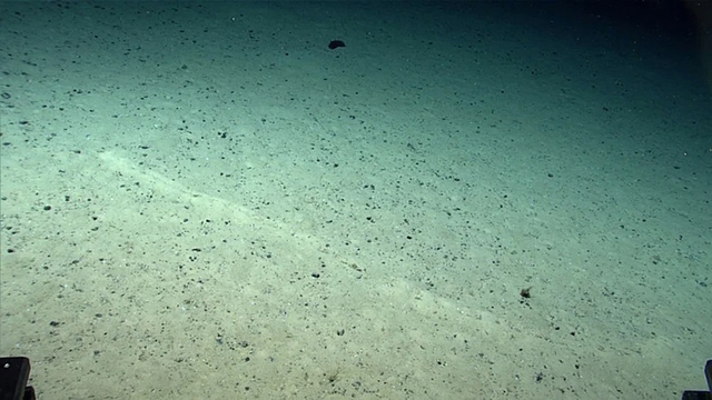 Các nhà khoa học bối rối trước những hố bí ẩn liên tục tìm thấy phía dưới Đại Tây Dương thăm thẳm - Ảnh 3.