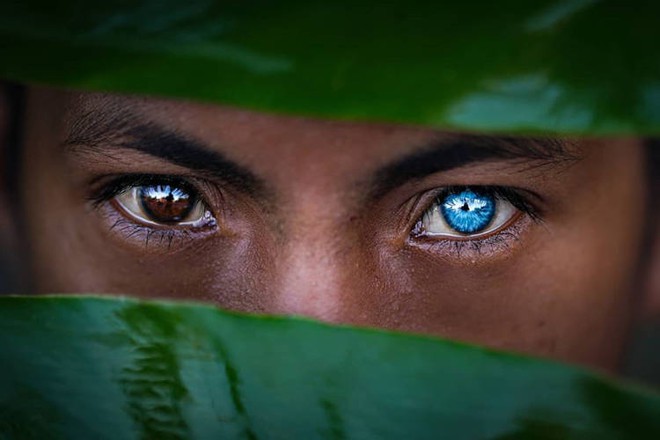 Hội chứng di truyền kỳ lạ khiến cho các thành viên trong bộ tộc bản địa Indonesia sở hữu màu mắt xanh hiếm thấy - Ảnh 1.