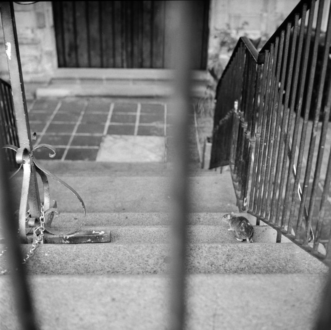 Cách chụp ảnh như nữ nhiếp ảnh gia đường phố Vivian Maier - Ảnh 22.