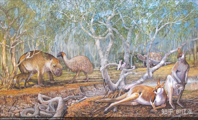 Các nhà khoa học tìm ra nguyên nhân thực sự của sự tuyệt chủng động vật khổng lồ ở Úc - Ảnh 1.