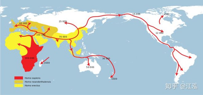 Các nhà khoa học tìm ra nguyên nhân thực sự của sự tuyệt chủng động vật khổng lồ ở Úc - Ảnh 8.