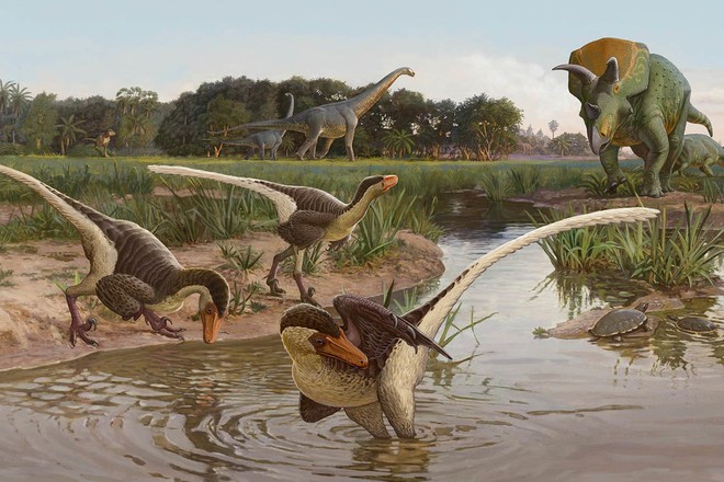 Nghiên cứu mới cho thấy người anh em của khủng long Velociraptor tại Bắc Mỹ có tổ tiên bắt nguồn từ Châu Á - Ảnh 1.