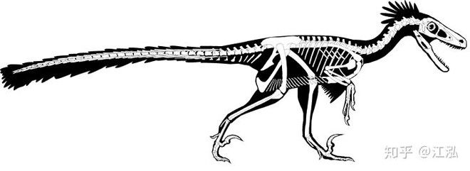 Nghiên cứu mới cho thấy người anh em của khủng long Velociraptor tại Bắc Mỹ có tổ tiên bắt nguồn từ Châu Á - Ảnh 8.