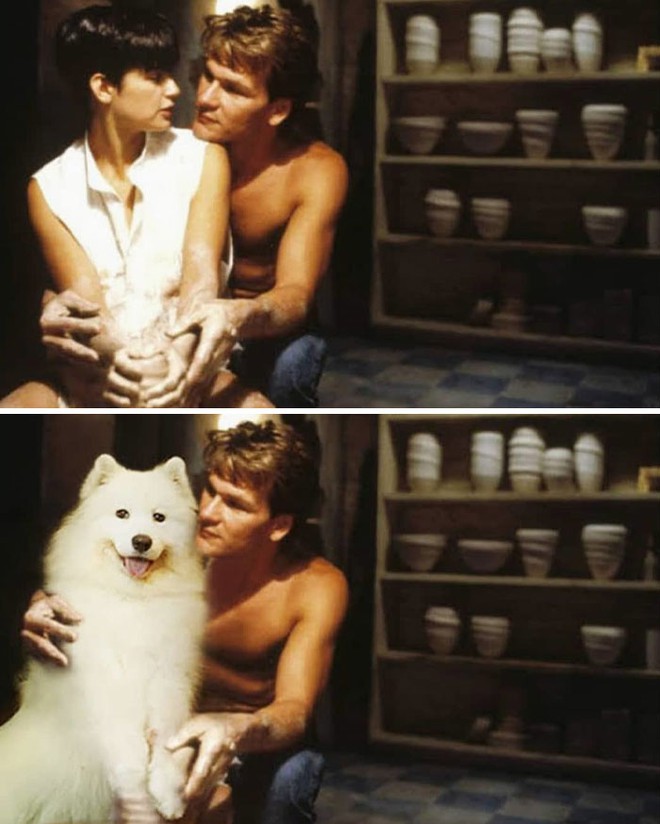 Chủ có tâm, quyết định dùng thời gian rảnh để chế ảnh chú chó của mình vào những bộ phim nổi tiếng - Ảnh 4.
