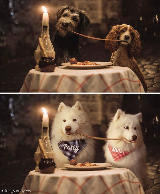 Chủ có tâm, quyết định dùng thời gian rảnh để chế ảnh chú chó của mình vào những bộ phim nổi tiếng - Ảnh 13.