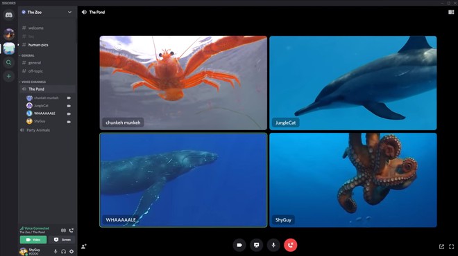 Discord cập nhật tính năng video call, chỉ cần bấm một nút là tham gia ngay phòng chat - Ảnh 1.