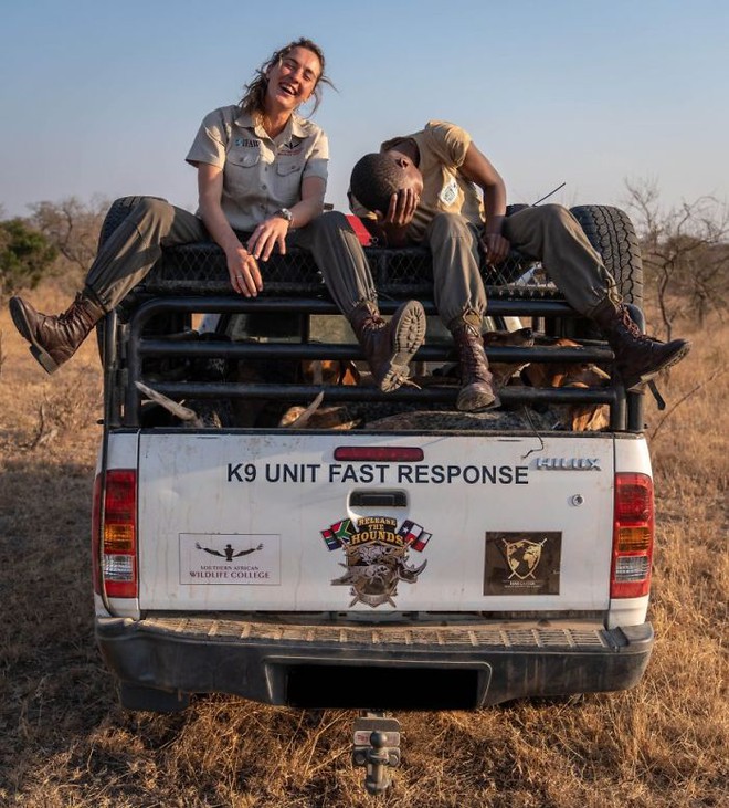 Chó được huấn luyện để bảo vệ động vật hoang dã đã cứu được 45 con tê giác khỏi những kẻ săn trộm - Ảnh 9.