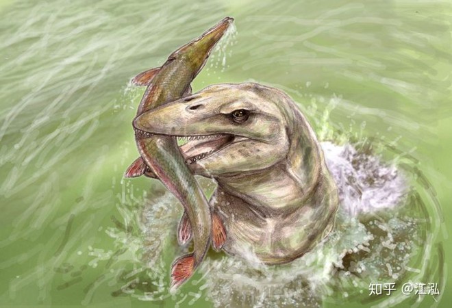 Pannoniasaurus: Quái vật dài 6 mét ở vùng nước ngọt của Hungary - Ảnh 9.
