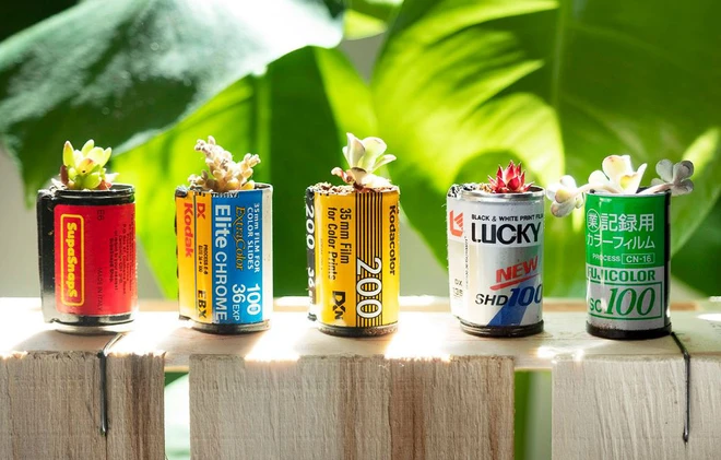 Sau làm móc khóa, vỏ phim cũ giờ đây còn được biến hóa thành chậu cây trồng mini cực dễ thương - Ảnh 1.