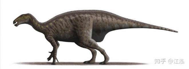 Úc phát hiện ra hóa thạch khủng long biến thành đá quý - Ảnh 11.