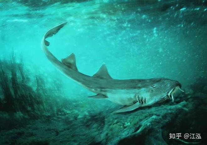 Vô tình phát hiện ra loài cá mập mới trong khi phân loại hóa thạch Tyrannosaurus rex - Ảnh 9.