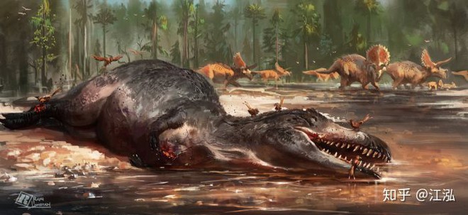 Vô tình phát hiện ra loài cá mập mới trong khi phân loại hóa thạch Tyrannosaurus rex - Ảnh 13.