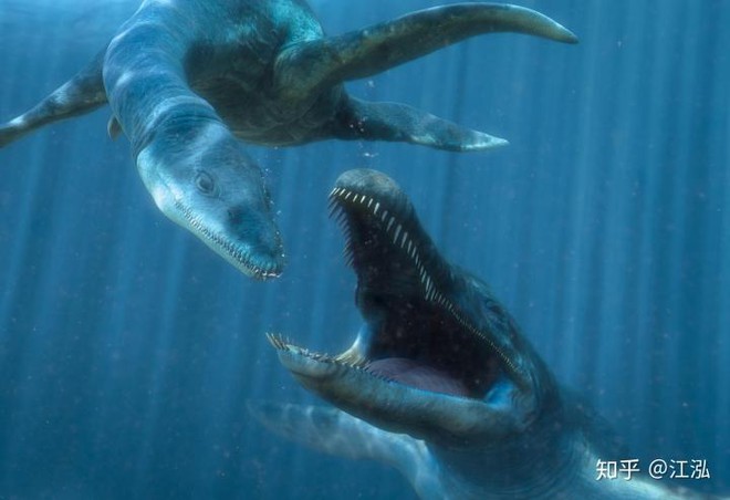 Predator X: Quái vật biển cả đáng sợ nhất kỷ Jura - Ảnh 16.