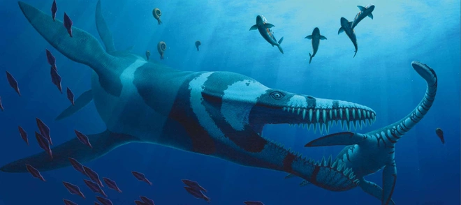 Predator X: Quái vật biển cả đáng sợ nhất kỷ Jura - Ảnh 1.