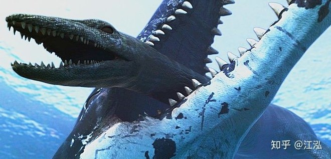 Predator X: Quái vật biển cả đáng sợ nhất kỷ Jura - Ảnh 17.