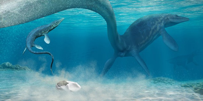 Phát hiện trứng hóa thạch lớn nhất trong thời đại khủng long, nó có thể đến từ một loài bò sát cổ đại chuyên ăn thịt cá mập - Ảnh 1.