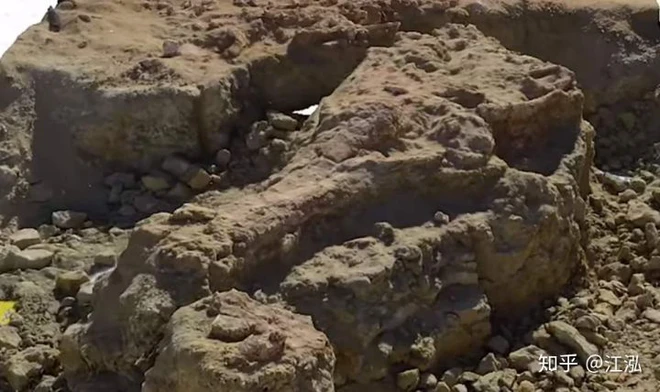 Machimosaurus rex: Loài cá sấu nước mặn to lớn nhất từng được con người phát hiện - Ảnh 3.