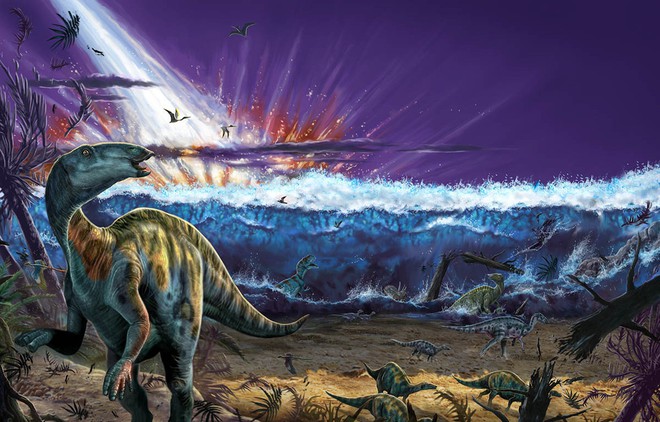 Nghiên cứu mới khẳng định thiên thạch đường kính lên tới 81 km xóa sổ loài khủng long, nhưng rồi núi lửa phun trào đã khiến sự sống hồi phục - Ảnh 6.