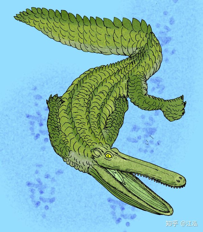Stomatosuchus inermis: Loài cá sấu cổ đại có thể nuốt chửng cả thế giới - Ảnh 8.