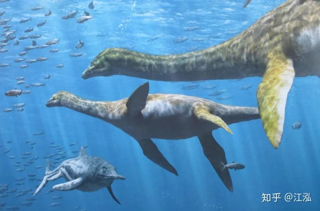 Hóa thạch của quái vật biển kỷ Jura được tìm thấy trên núi của Thụy Sĩ - Ảnh 12.