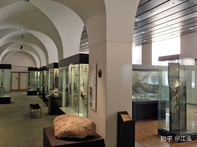 Hóa thạch của quái vật biển kỷ Jura được tìm thấy trên núi của Thụy Sĩ - Ảnh 8.