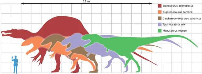 Tại sao loài khủng long đã thống trị Trái Đất hơn 100 triệu năm lại không sinh ra trí tuệ như loài người? - Ảnh 3.