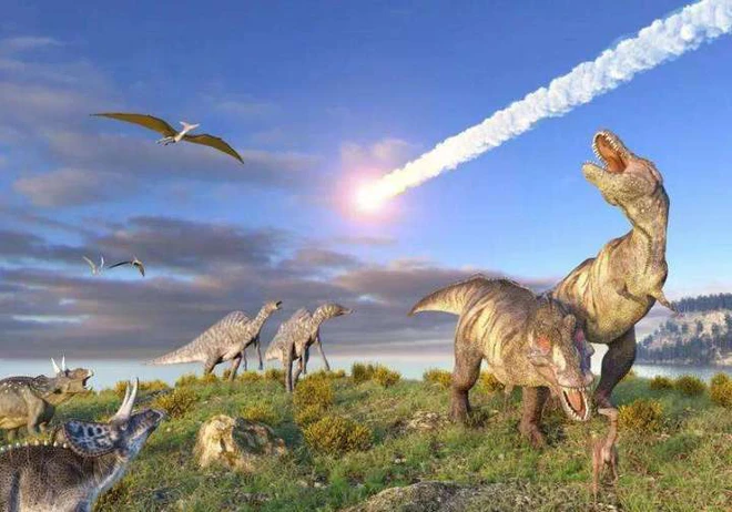 Tại sao loài khủng long đã thống trị Trái Đất hơn 100 triệu năm lại không sinh ra trí tuệ như loài người? - Ảnh 1.