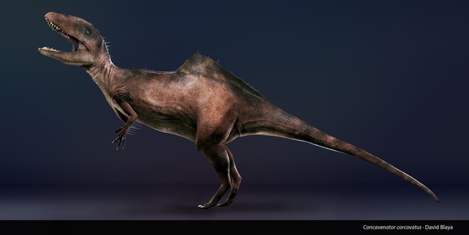 Loài khủng long ăn thịt có bướu kỳ lạ được tìm thấy ở Tây Ban Nha - Ảnh 10.