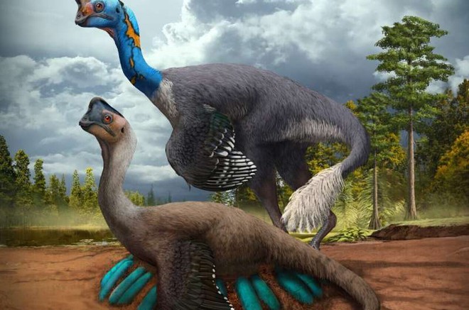 Phát hiện hóa thạch khủng long chết trong khi đang ấp trứng với những con non đang nở - Ảnh 2.