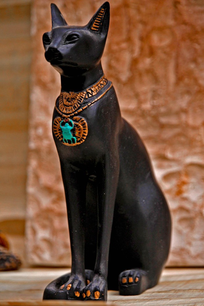 Tại sao người Ai Cập cổ đại lại bị ám ảnh bởi loài mèo? - Ảnh 4.