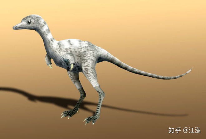 Phát hiện loài động vật hai ngón chuyên ăn cắp trứng khủng long - Ảnh 7.