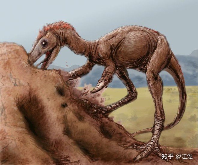 Phát hiện loài động vật hai ngón chuyên ăn cắp trứng khủng long - Ảnh 8.