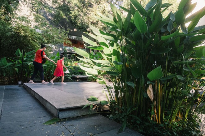 Đừng lạm dụng xóa phông, có nhiều cách khác để làm chủ thể nổi bật trong ảnh chụp - Ảnh 7.