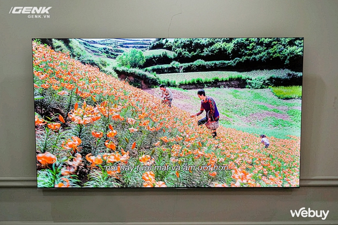 Xem bóng đá bằng TV Samsung Neo QLED 8K: Trải nghiệm mãn nhãn chưa từng thấy, âm thanh ấn tượng cùng hàng tá tính năng thông minh - Ảnh 6.