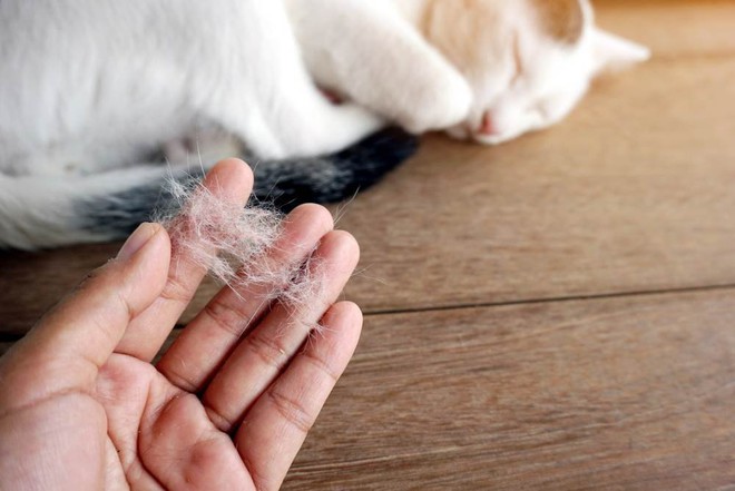 10 cách đơn giản giúp giảm bụi bặm trong nhà - Ảnh 11.