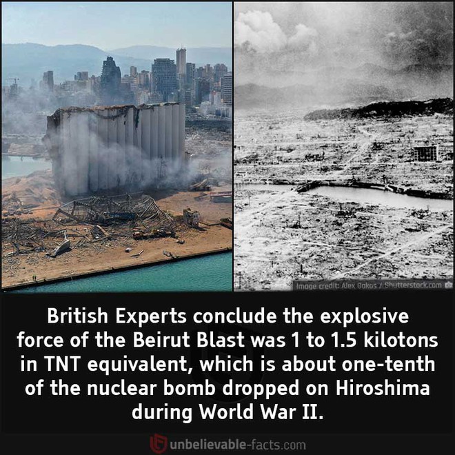 Những sự thật bất ngờ về Vụ nổ Beirut - Ảnh 1.