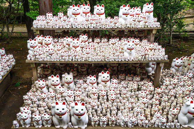 Maneki-Neko là gì? Hãy khám phá nguồn gốc hấp dẫn của chú mèo may mắn đến từ Nhật Bản - Ảnh 9.